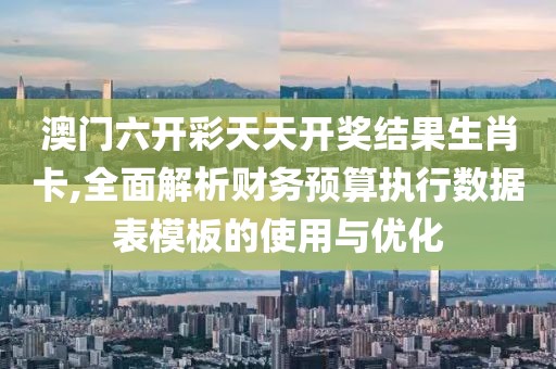 澳门六开彩天天开奖结果生肖卡,全面解析财务预算执行数据表模板的使用与优化