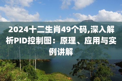 2024十二生肖49个码,深入解析PID控制图：原理、应用与实例讲解