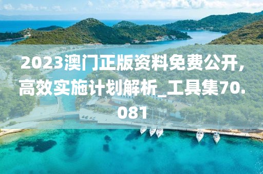 2023澳门正版资料免费公开,高效实施计划解析_工具集70.081