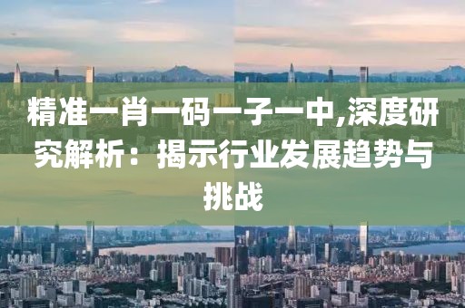 精准一肖一码一子一中,深度研究解析：揭示行业发展趋势与挑战