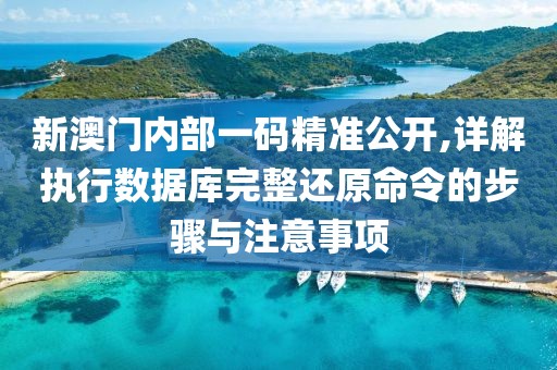 新澳门内部一码精准公开,详解执行数据库完整还原命令的步骤与注意事项