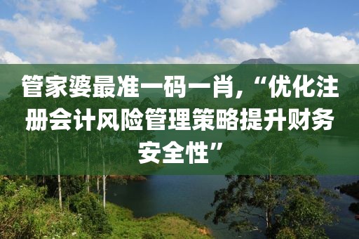管家婆最准一码一肖,“优化注册会计风险管理策略提升财务安全性”