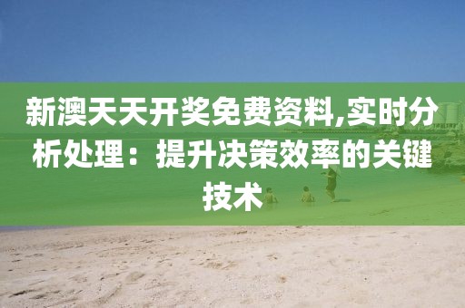 新澳天天开奖免费资料,实时分析处理：提升决策效率的关键技术