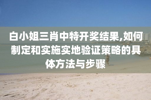 白小姐三肖中特开奖结果,如何制定和实施实地验证策略的具体方法与步骤