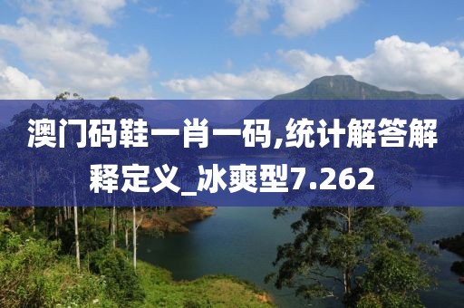 澳门码鞋一肖一码,统计解答解释定义_冰爽型7.262
