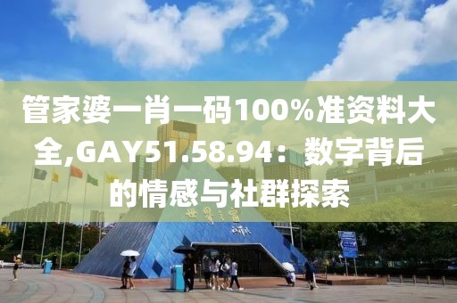 管家婆一肖一码100%准资料大全,GAY51.58.94：数字背后的情感与社群探索