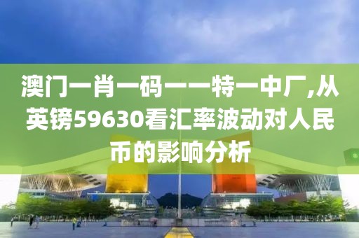 澳门一肖一码一一特一中厂,从英镑59630看汇率波动对人民币的影响分析