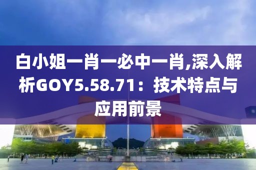 白小姐一肖一必中一肖,深入解析GOY5.58.71：技术特点与应用前景