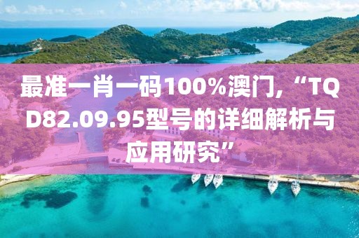 最准一肖一码100%澳门,“TQD82.09.95型号的详细解析与应用研究”