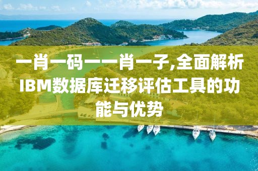 一肖一码一一肖一子,全面解析IBM数据库迁移评估工具的功能与优势