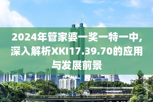 2024年管家婆一奖一特一中,深入解析XKI17.39.70的应用与发展前景