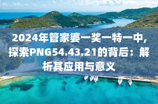 2024年管家婆一奖一特一中,探索PNG54.43.21的背后：解析其应用与意义