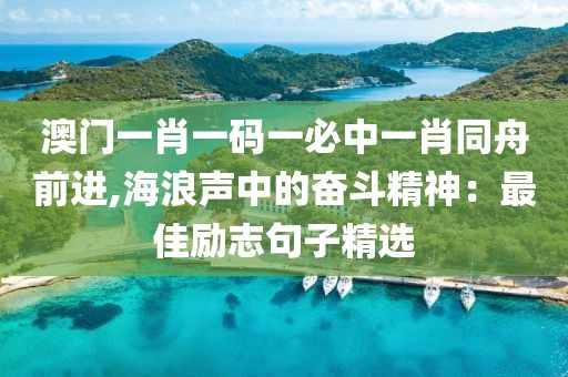 澳门一肖一码一必中一肖同舟前进,海浪声中的奋斗精神：最佳励志句子精选