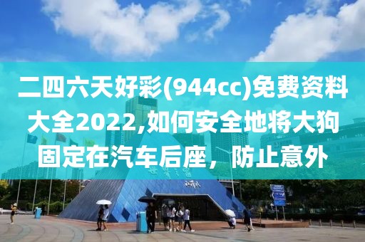 二四六天好彩(944cc)免费资料大全2022,如何安全地将大狗固定在汽车后座，防止意外