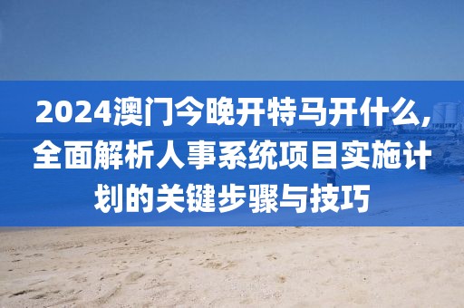 2024澳门今晚开特马开什么,全面解析人事系统项目实施计划的关键步骤与技巧