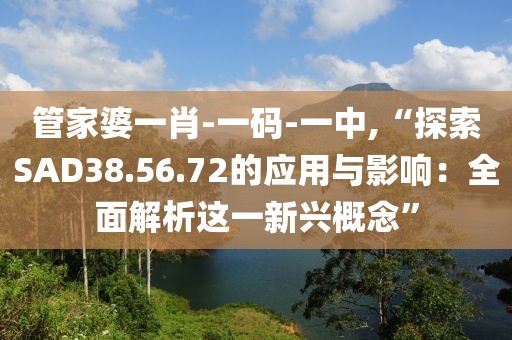 管家婆一肖-一码-一中,“探索SAD38.56.72的应用与影响：全面解析这一新兴概念”