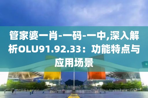 管家婆一肖-一码-一中,深入解析OLU91.92.33：功能特点与应用场景