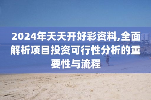 2024年天天开好彩资料,全面解析项目投资可行性分析的重要性与流程