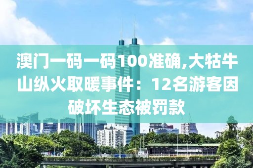 澳门一码一码100准确,大牯牛山纵火取暖事件：12名游客因破坏生态被罚款
