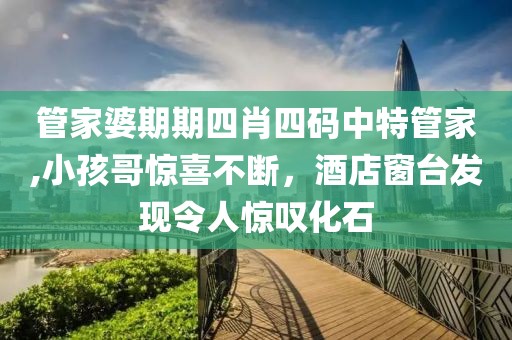 管家婆期期四肖四码中特管家,小孩哥惊喜不断，酒店窗台发现令人惊叹化石