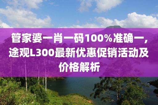 管家婆一肖一码100%准确一,途观L300最新优惠促销活动及价格解析
