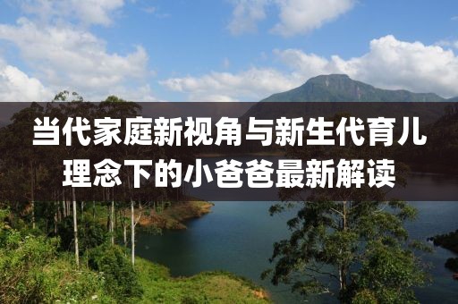当代家庭新视角与新生代育儿理念下的小爸爸最新解读