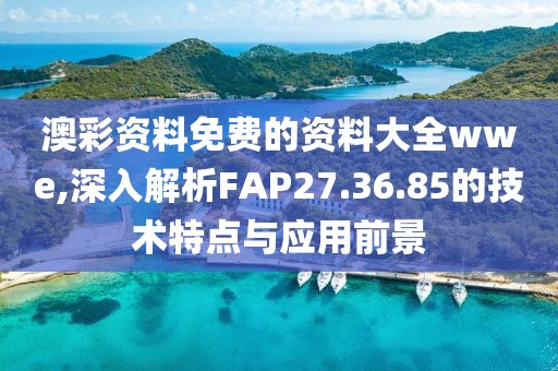澳彩资料免费的资料大全wwe,深入解析FAP27.36.85的技术特点与应用前景
