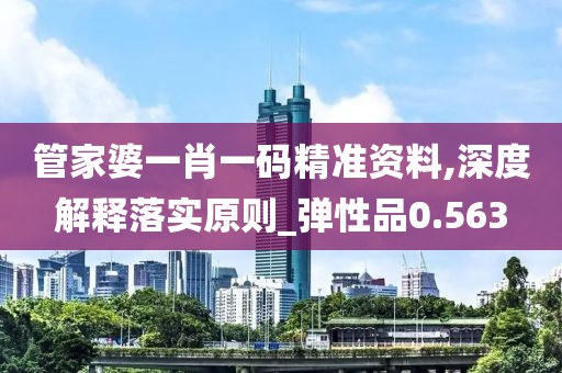 管家婆一肖一码精准资料,深度解释落实原则_弹性品0.563