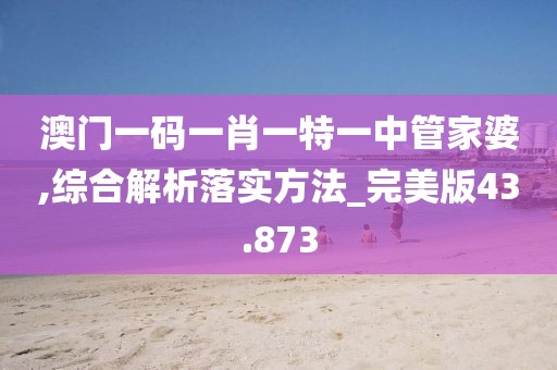 澳门一码一肖一特一中管家婆,综合解析落实方法_完美版43.873