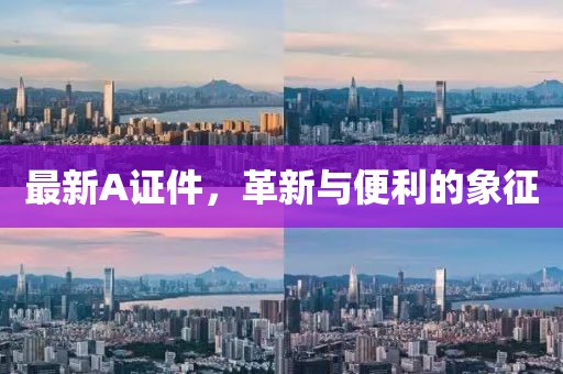 最新A证件，革新与便利的象征