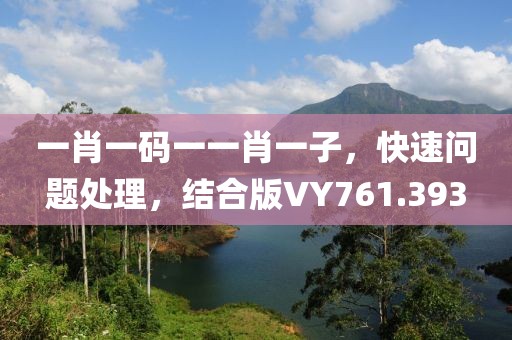 一肖一码一一肖一子，快速问题处理，结合版VY761.393
