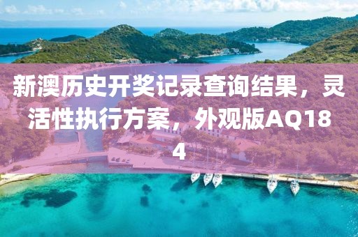 新澳历史开奖记录查询结果，灵活性执行方案，外观版AQ184