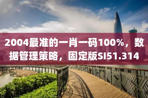 2004最准的一肖一码100%，数据管理策略，固定版SI51.314