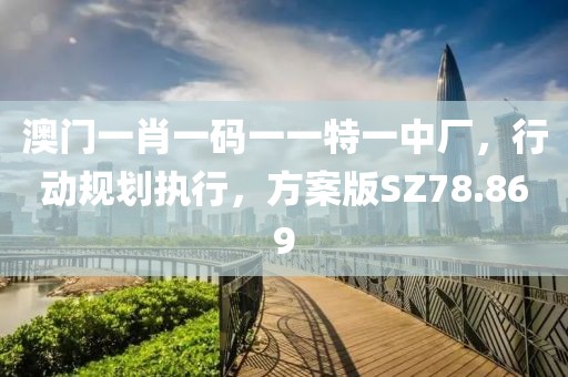 澳门一肖一码一一特一中厂，行动规划执行，方案版SZ78.869