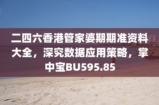 二四六香港管家婆期期准资料大全，深究数据应用策略，掌中宝BU595.85