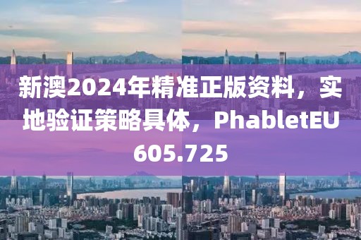 新澳2024年精准正版资料，实地验证策略具体，PhabletEU605.725