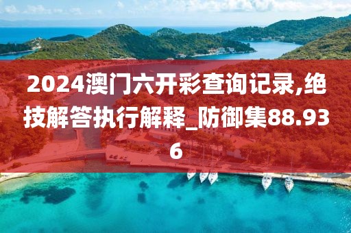 2024澳门六开彩查询记录,绝技解答执行解释_防御集88.936