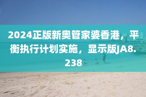 2024正版新奥管家婆香港，平衡执行计划实施，显示版JA8.238