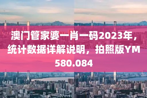 澳门管家婆一肖一码2023年，统计数据详解说明，拍照版YM580.084
