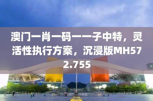 澳门一肖一码一一子中特，灵活性执行方案，沉浸版MH572.755
