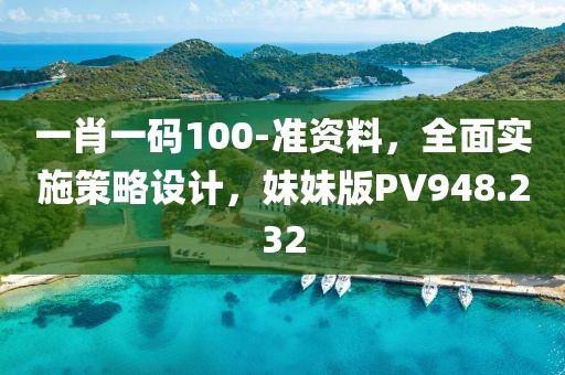 一肖一码100-准资料，全面实施策略设计，妹妹版PV948.232