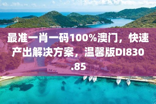最准一肖一码100%澳门，快速产出解决方案，温馨版DI830.85