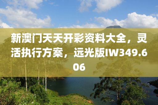 新澳门天天开彩资料大全，灵活执行方案，远光版IW349.606