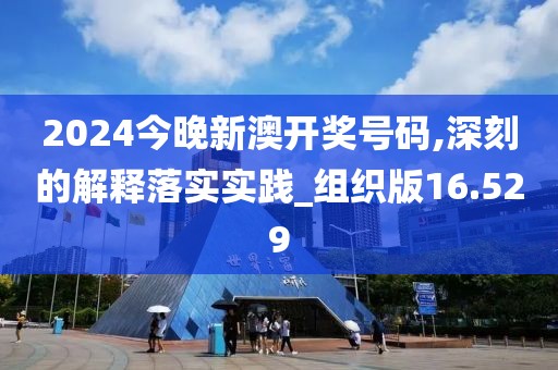 2024今晚新澳开奖号码,深刻的解释落实实践_组织版16.529