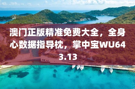 澳门正版精准免费大全，全身心数据指导枕，掌中宝WU643.13