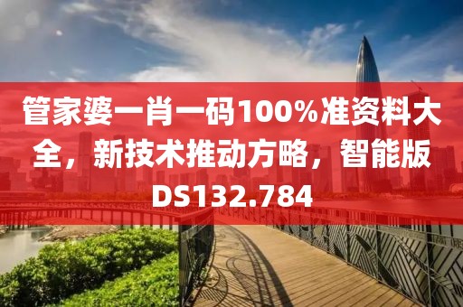 管家婆一肖一码100%准资料大全，新技术推动方略，智能版DS132.784