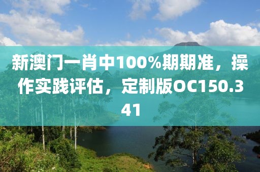 新澳门一肖中100%期期准，操作实践评估，定制版OC150.341