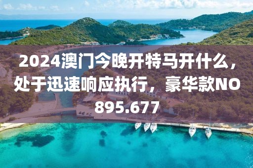 2024澳门今晚开特马开什么，处于迅速响应执行，豪华款NO895.677