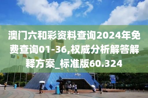 澳门六和彩资料查询2024年免费查询01-36,权威分析解答解释方案_标准版60.324