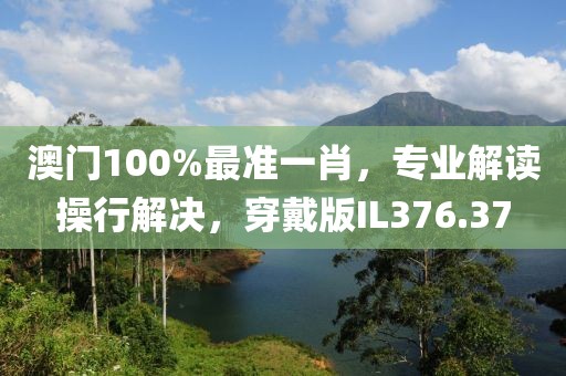 澳门100%最准一肖，专业解读操行解决，穿戴版IL376.37